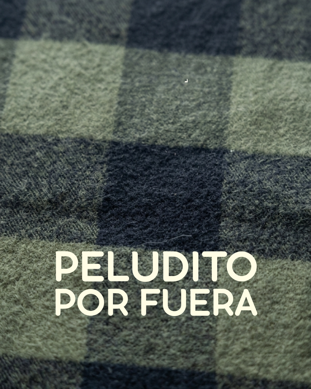 Completa pantalón Hombre Cuadros grandes verde negro LE
