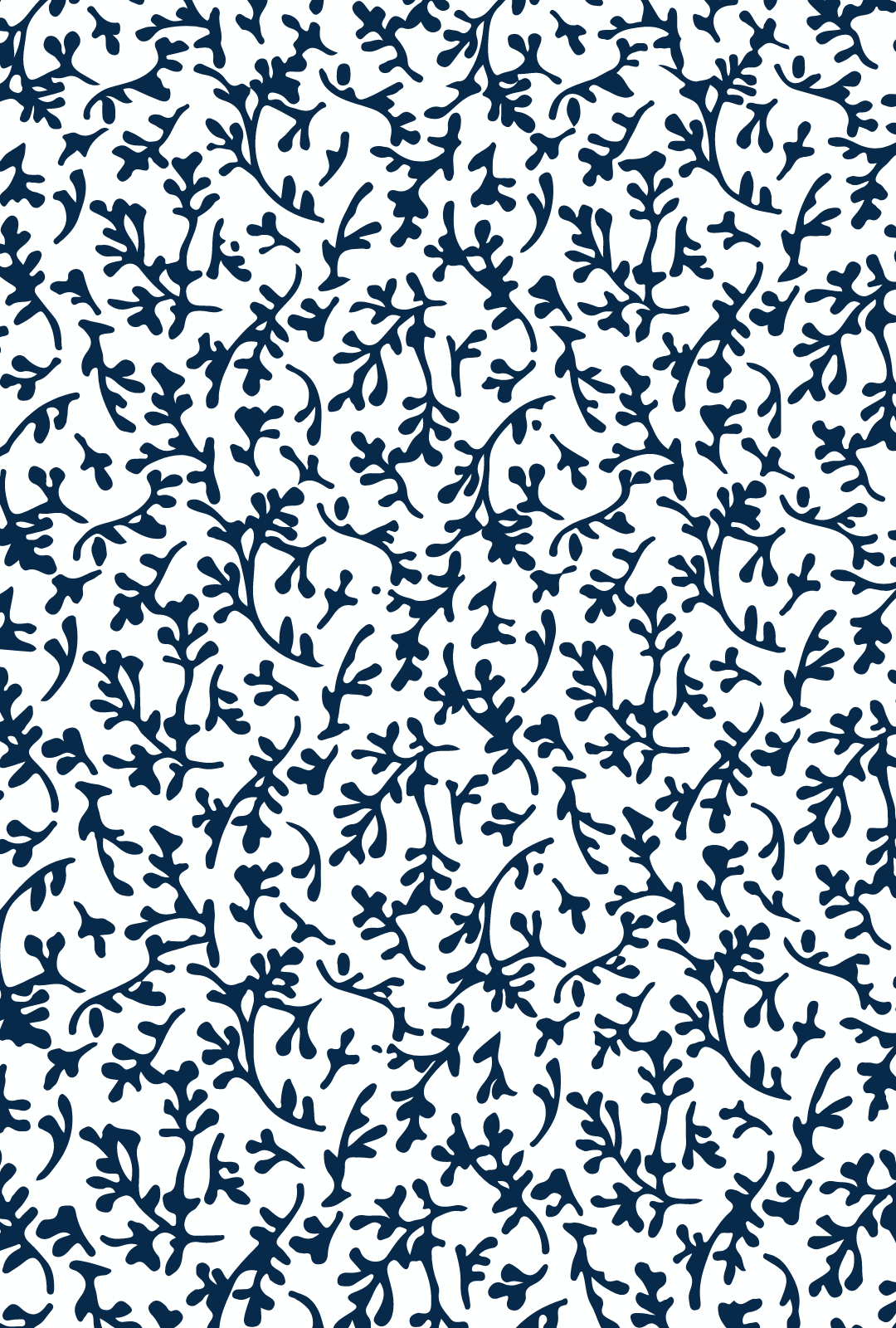 Bermuda Mujer Otoño Blanco TP