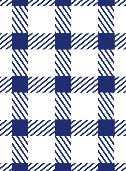Bermuda Hombre Cuadros azul oscuro blanco TP
